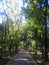 Peaceful walkway in the campus