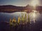 Peaceful water close to the forest in spring season. calm lake reflecting clouds