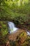 Peaceful waterfall hidden in dense jungle