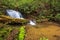 Peaceful waterfall hidden in dense jungle