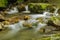 Peaceful Waterfall and Trees