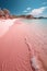 Peaceful Waves on a Pink Sand Beach Shore.