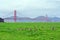 Peacefull meadow, Golden Gate Bridge, San Francisco Bay