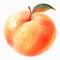 Peach Algorithmic Art On White Background