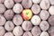 Peach and apple fruit background. Stand out in the crowd.