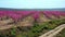 Peach blossom in Jumilla in the Murcia region in Spain