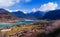 The peach blossoms in the Yarlung Zangbo riverside