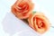 Peach colored rose, angled on white