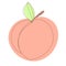 Peach in Continuous Line Drawing. Sketchy Single Apricot with Editable Stroke. Outline Simple Artwork with Editable Stroke. Vector