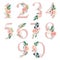 Peach cream / Blush Floral Number Set - digits 1, 2, 3, 4, 5, 6, 7, 8, 9, 0 with flowers bouquet composition