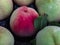 Peach fruit biologic natural on the box