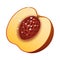 Peach fruit slice realistic 3d healthy vegetarian sweet ripe vector illustration