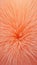 Peach fuzz color abstract furry texture