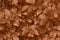 Peach Fuzz color leaf texture, nature monochrom background. Color of the year 2024