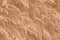 Peach Fuzz color leaf texture, nature monochrom background. Color of the year 2024