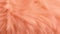 Peach Fuzz colored furry surface, high-resolution for vibrant textile