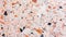 Peach Fuzz terrazzo pattern background, granite terrazzo flooring grunge vintage background.