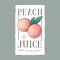 Peach juice label. Healthy fruit beverage. Two light-pink fruits with leaves on a white label with uneven edge.