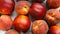 Peach and nectarine fruits close-up, top view. Rotation