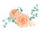 Peach and Orange Watercolor Rose Flower Bouquet Background with English Rose Austin and Eucalyptus