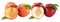 Peach peaches fruit fruits and nectarine nectarines isolated on
