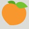 Peach Social Media Emoji. Modern Simple Vector