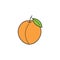 Peach solid line icon, healthy fruit,