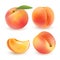 Peach. Sweet fruit. 3d vector icons set. Realistic illustration