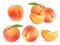 Peach. Sweet fruit. 3d vector set. Realistic illustration isolated