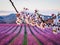 Peach trees in bloom in Aitona, Lleida, Spain