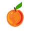 Peach. Vector fruit illustration