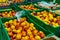 Peaches Packed boxes lying on the counter of the supermarket