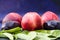 Peaches and plums side view. Fruits on a blue background