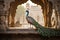 Peacock in the Agra Fort, Uttar Pradesh, India, A captivating image of a majestic exotic bird in city, AI Generated