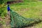 Peacock in Assiniboine Zoo, Winnipeg, Manitoba