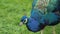 Peacock bird.blue birds. Peacock walks on green grass.Peacock portrait