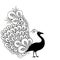 Peacock. Black and whiteillustration Isolated background