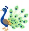 Peacock cartoon