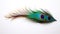 Peacock Feather in Vivid Color Isolated on a Stark White Background