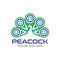 Peacock logo template design idea