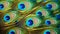 Peacock macro feathers. Blue green glowing surface nature texture exotic bird vibrant color. Beautiful decorative