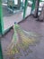 Peacock mating dance in an aviary at the zoo