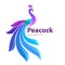 Peacock symbol or icon