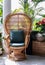 Peacock wicker rattan chair and flowers in living room overlooking the garden