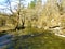 Peacuful calm creek rak flowing through Rakov Skocjan