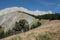 Peak of bure in Alps