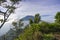 The peak of Mount Merbabu as seen from Mount Telomoyo with vegetation and trees as the foreground