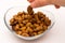 Pealed hazelnuts in the glass bowl