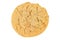 Peanut Butter Cookie Isolated on a White Backgroun