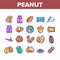 Peanut Food Collection Elements Icons Set Vector